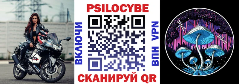 как найти наркотики  ОМГ ОМГ ССЫЛКА  Псилоцибиновые грибы мухоморы  Тихорецк 
