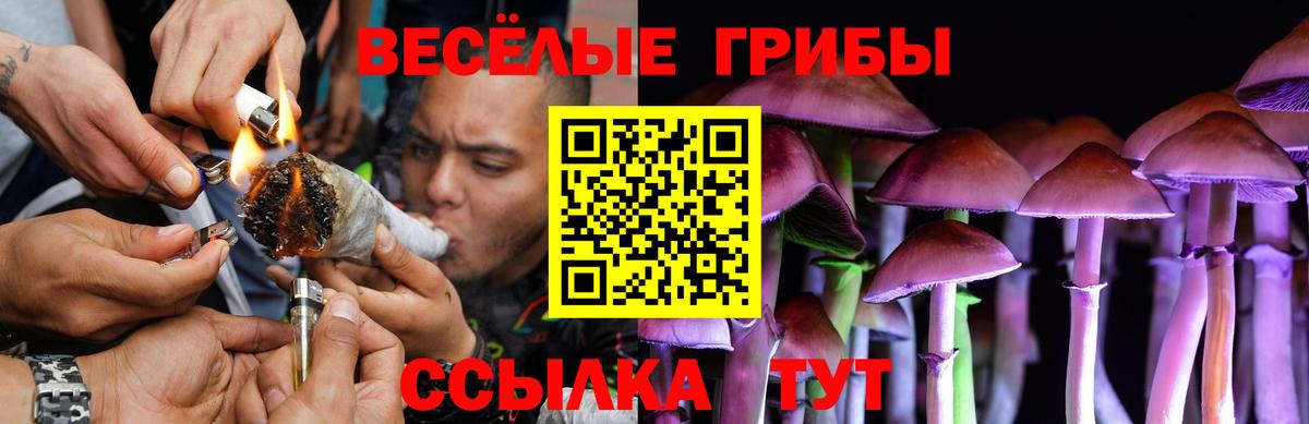 Галлюциногенные грибы Cubensis  Вход с VPN  Галлюциногенные грибы мухоморы  Тихорецк 