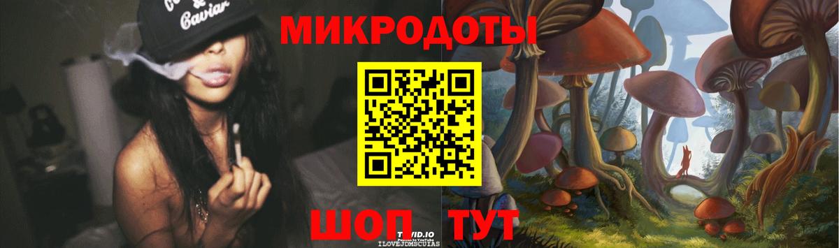 Галлюциногенные грибы Psilocybe Тихорецк